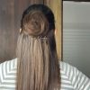 ClipNGO Bun Natural Brown